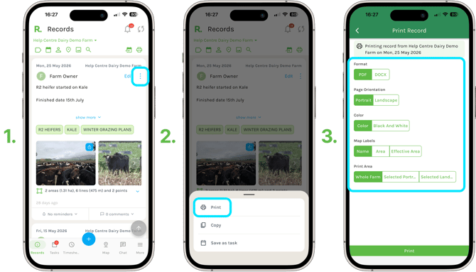 Print-a-Single-Record-or-Task_1-Print-Record-options