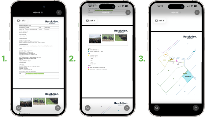 Print-a-Single-Record-or-Task_4-PDF-Report