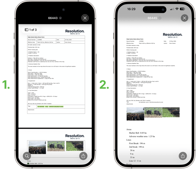 Print-a-Single-Record-or-Task_5-PDF-vs-docx